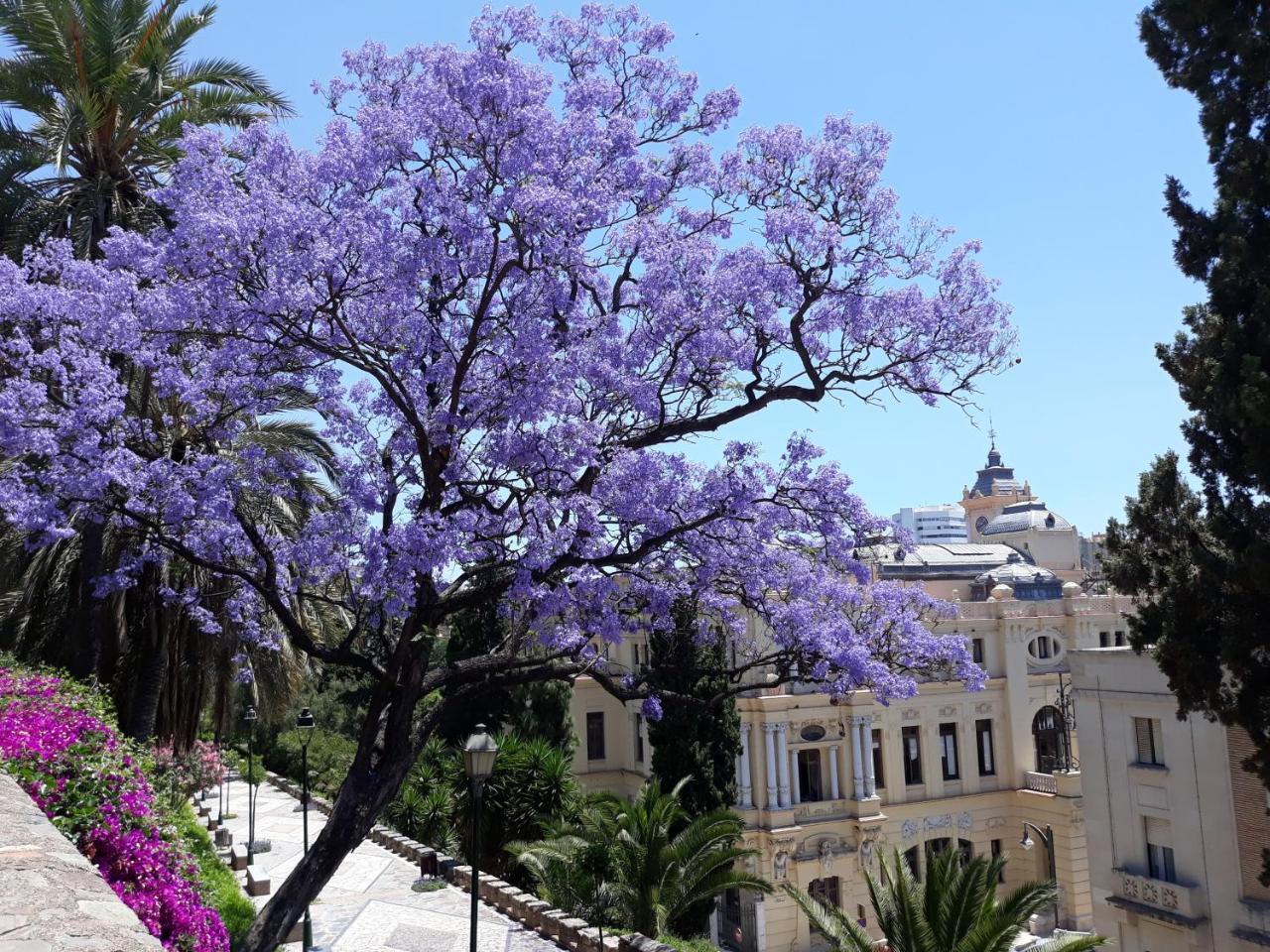Stay Home & Away In The Heart Of Historical Town Of Màlaga Exteriér fotografie